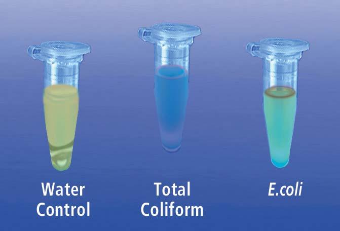 Water Quality Testing I: Chromogenic Analysis of Water Contaminants Experiment951 Experiment Results & Analysis INTERPRETATION OF ANTICIPATED RESULTS 1.