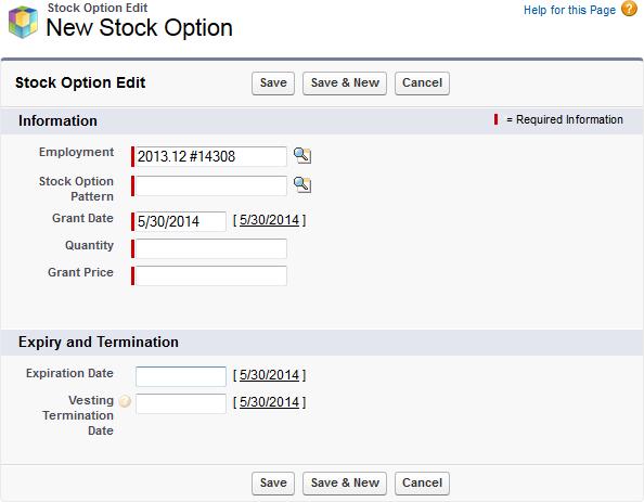 Awarding a Stock Option to a Team Member When the Stock Option Pattern has been defined with its associated Stock Option Periods for the stock options you want to issue, you can award the options to