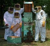 Today, fourth generation beekeeper, Raymond Cooper, operates the business with his wife, Madeline "Mickey," his daughter and son-in-law, Benita and Robert, and their two children, Tiffany and
