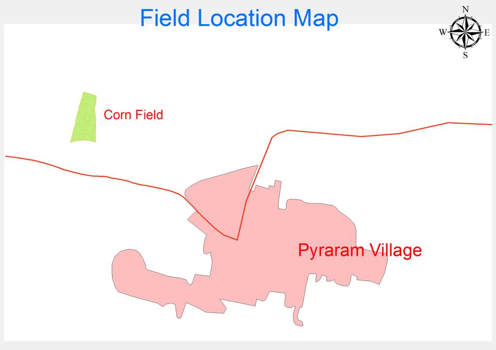 Field Study-Corn Field A Corn Field in Pyararam