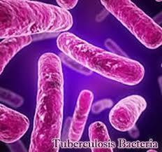 NHS implementing TB sequencing for