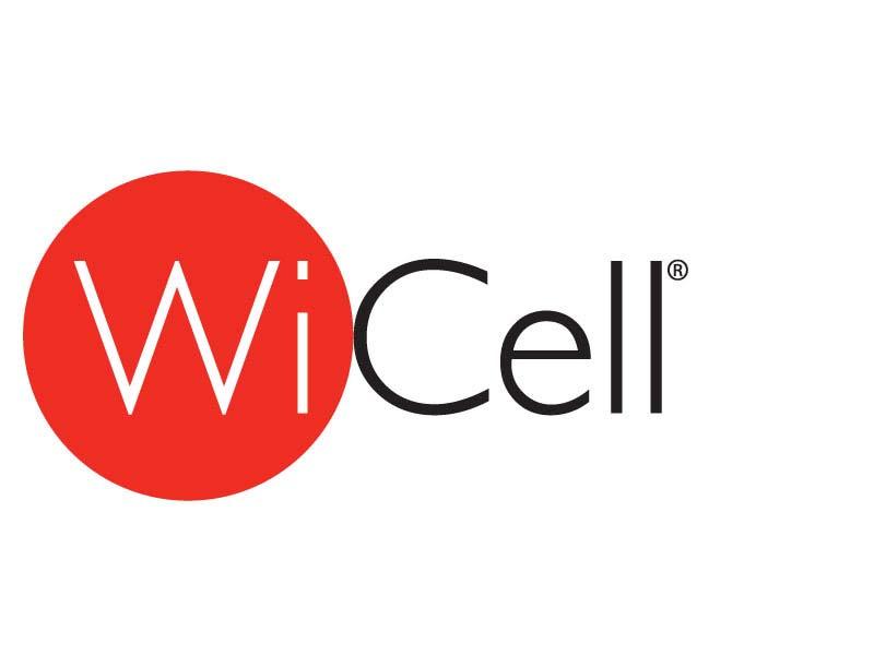 WiCell Feeder Independent Pluripotent Stem Cell