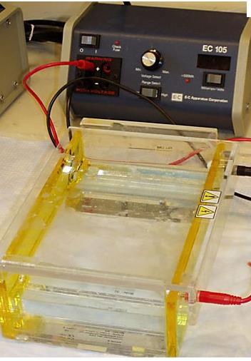 Gel Electrophoresis instrument components 9 Required: a power supply, connectors= leads, electrophoresis chamber with buffer reservoirs