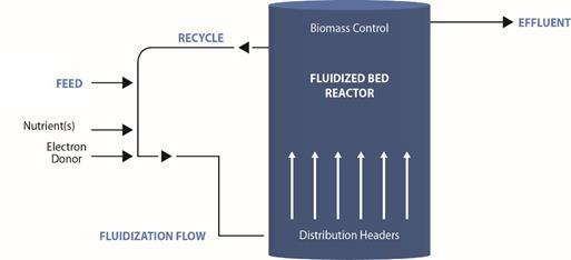 Figure 6: Start-up of FBR system Selenium-containing wastewater is pumped from a feed tank into the FBR in an upflow direction to suspend the media.