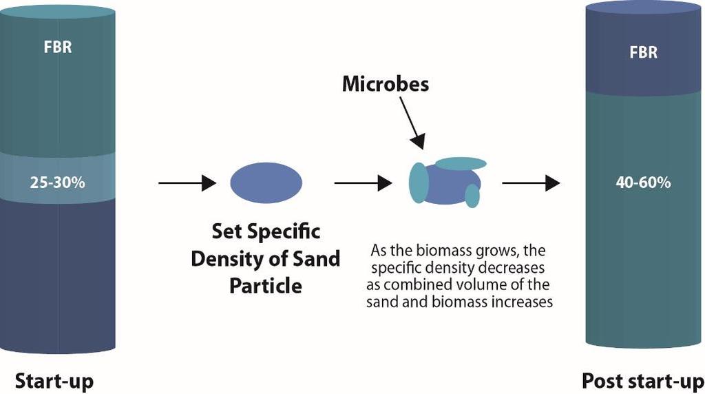 Figure 7: Fluidization of FBR media With time, a biofilm develops on the media surface. Nitrate and selenate/selenite reduction occur on this biofilm.