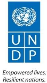 INDIVIDUAL CONSULTANT PROCUREMENT NOTICE Terms of Reference Ref: PN/FJI-058-17 Title Location Type of Contract Post Level Languages required: Duration of Initial Contract: Kiribati SDG Voluntary