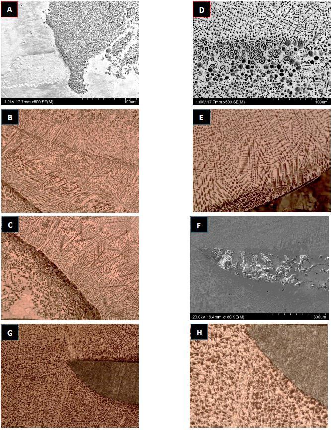 Figure 2. Microstructure images with SEM and optical 20x magnification.