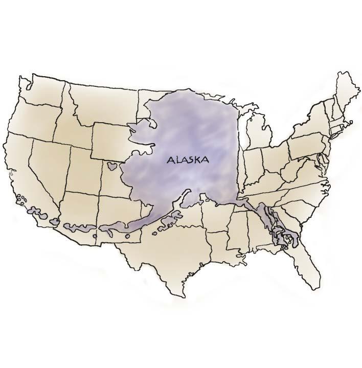 GEOGRAPHY1It s big up there. At about 663,000 square miles, Alaska is the largest of all U.S. states.