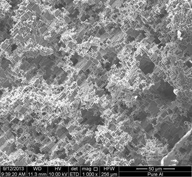 5 Corroded Microstructures Corroded surfaces from potentiostatic and galvanostatic tests were characterized in order to relate corrosion behavior to microstructure.
