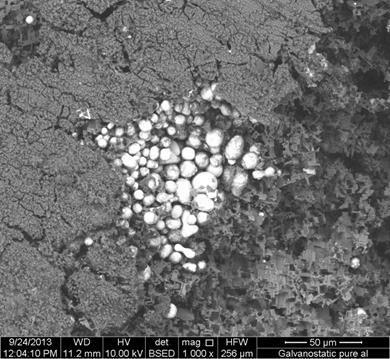 Potentiostatic Test Figure 28: Backscatter Image of Al-2 Wt% Bi Showing Preferential Corrosion after a