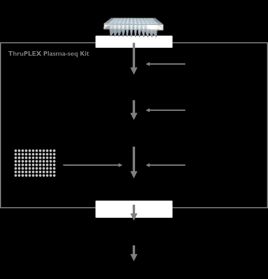 III. ThruPLEX Plasma-seq Workflow The highly streamlined ThruPLEX Plasma-seq Kit workflow (Figure 4) consists of the following three steps: Template Preparation for efficient repair of the input