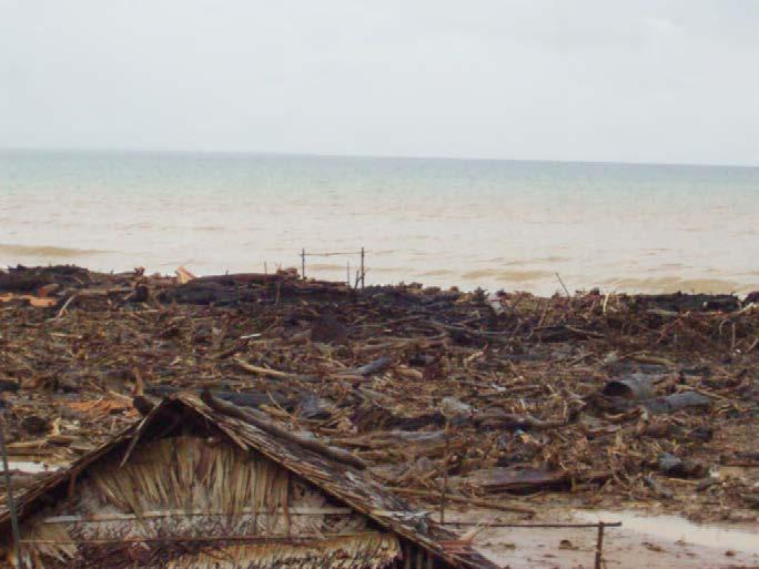 Logs deposited by floodwaters on the seashore of