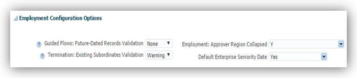 EMPLOYMENT CONFIGURATION OPTIONS You can now use configuration options to perform validation, improve performance, or change default values in employment pages: Configure validation to stop or warn