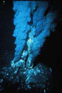 Hydrothermal Vents & Chemosynthetic