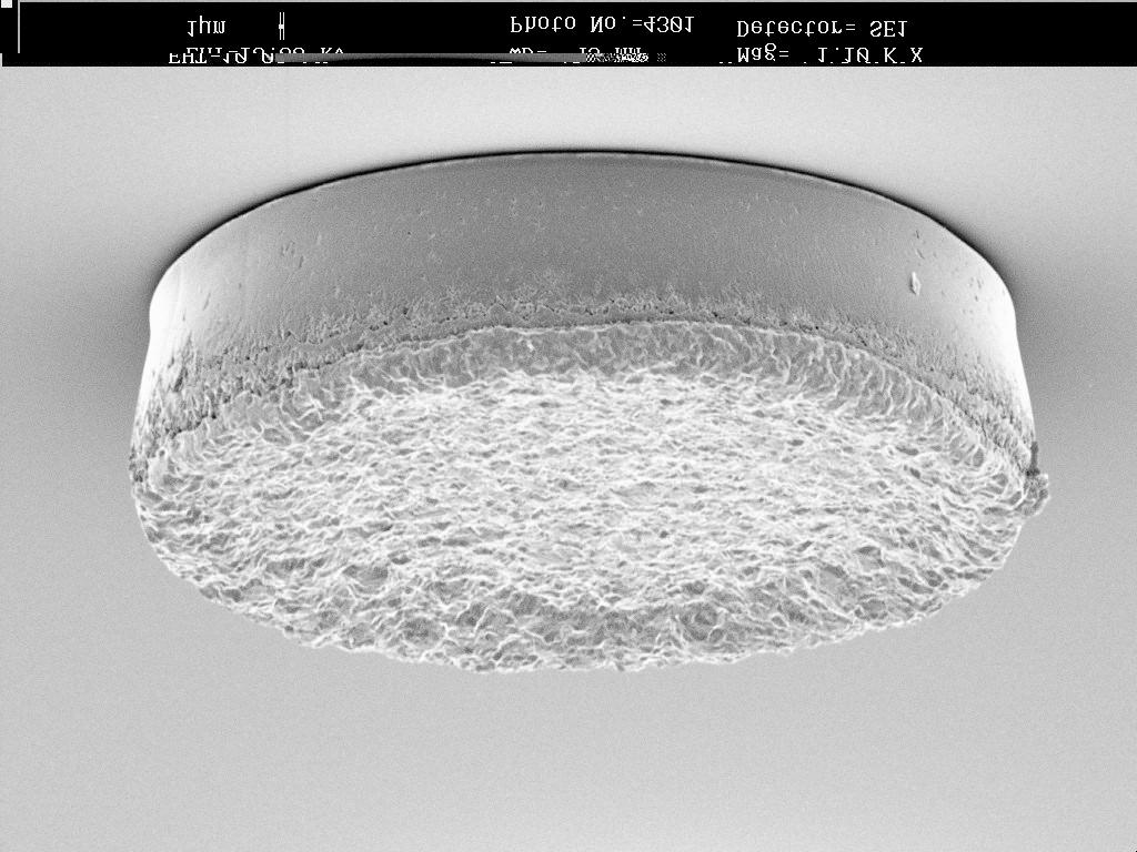 Fig. 6a. SEM of as-plated tin-silver solder bumps Fig.