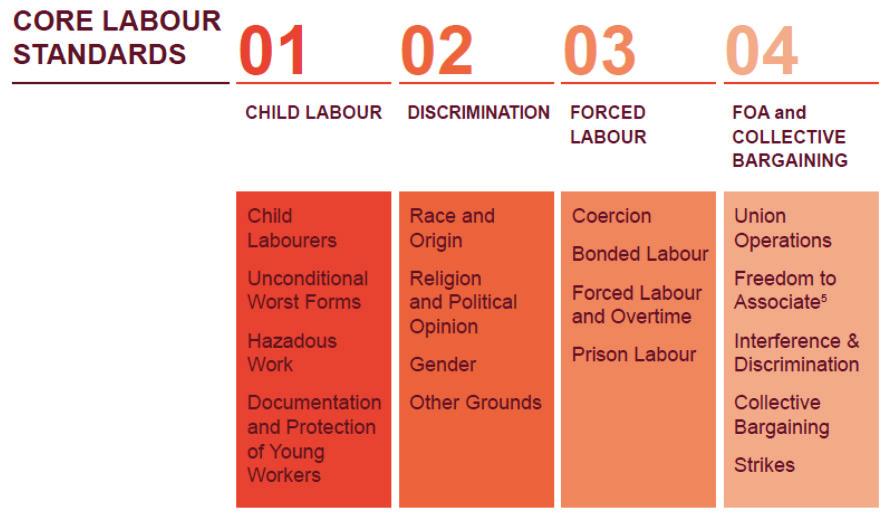 35 Child Labourers Unconditional Worst Forms Hazardous