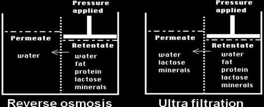 In UF, the membrane pore size is larger allowing some components to pass through the pores with the water. It is a separation/ fractionation process. Fig.