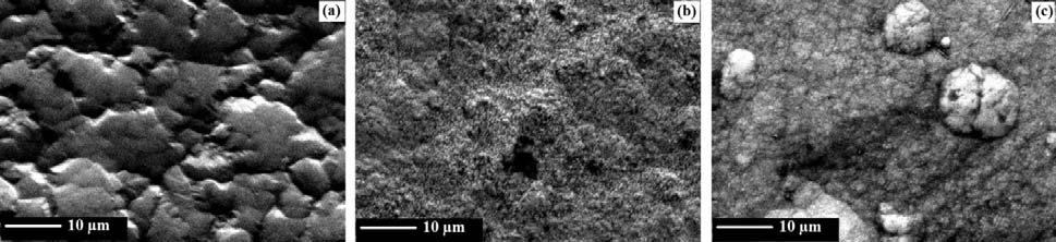 Figure-5. SEM micrographs of Ni-SiC electrodeposited surface coatings: (a) before test; (b) after corrosion test in H 2SO 4 aqueous solution; (c) after corrosion test in bentonite solution.