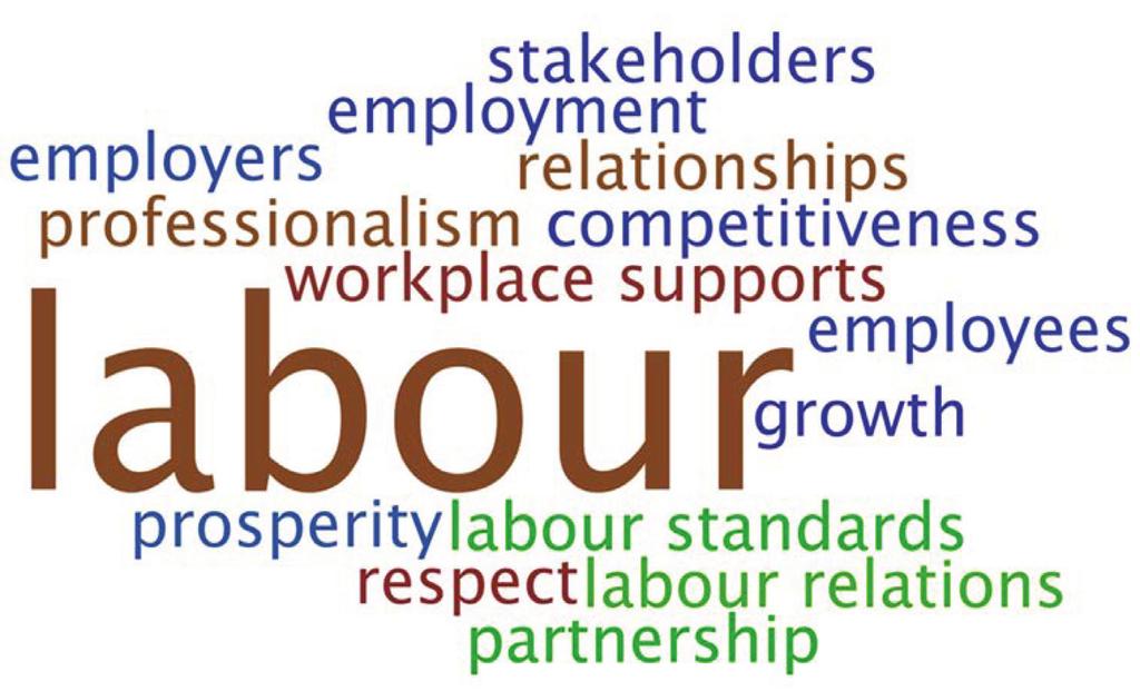 Overview of the Labour Relations Agency continued Mandate The mandate of the Labour Relations Agency is to encourage effective relationships between employees and employers through: the regulation of