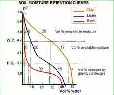 Capillary Forces height height Water table S 7 Soil Characteristics Water in any