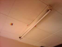 ..4.9 Location ID: /6 E06 XP000//77 ceiling tiles 5m² No Change: Encapsulated and labelled insulating board ceiling tiles within both sections of ladies.