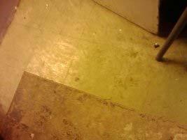 ..6 Location ID: 0/404 W05 P007/G/4 Floor tiles 0m² No Change: Olive floor tiles.