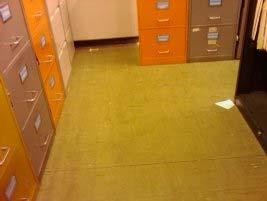 ...67 Location ID: 0/689 W048 XP9999//87 Floor tiles 0m² No Change: Labelled olive floor tiles.