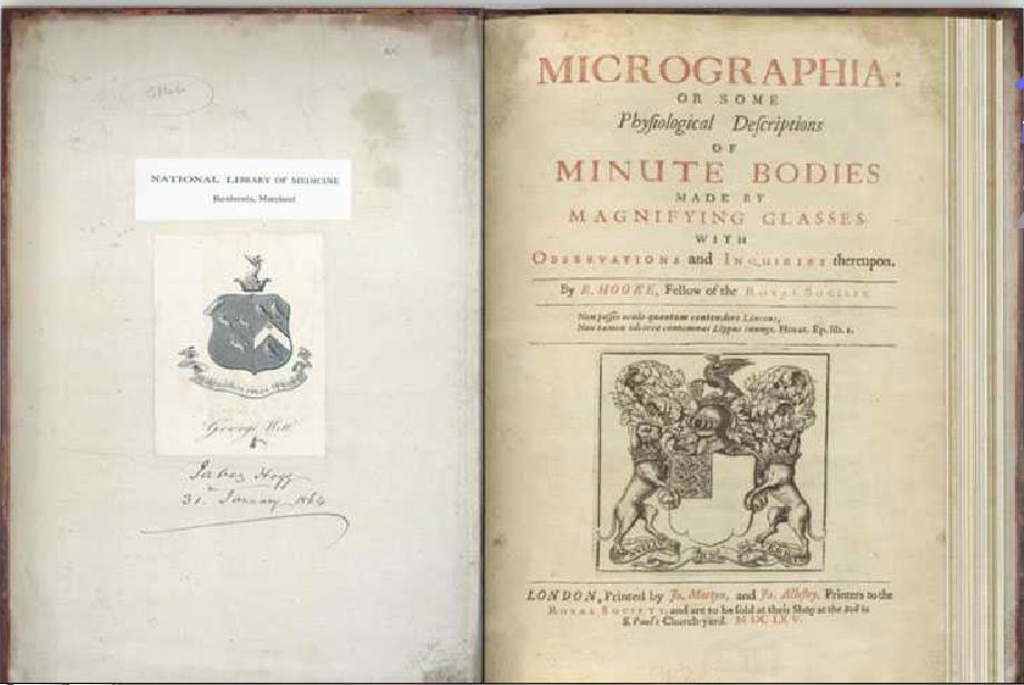 Microscopes reveal the microbial world Robert Hooke (1635 1703) Built the first compound microscope Used it to observe mold Published