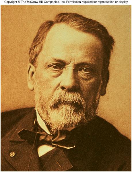Louis Pasteur showed microbes caused fermentation & spoilage,