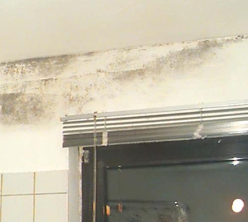 mold growth on thermal bridges in cold climates.
