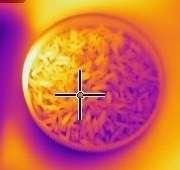 From this figure, it is clearly seen that the color of thermal images changes from time to time during heating and after cooling process.