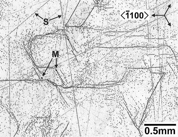 [12,14}19]. Fig. 1. Optical micrograph of the KOH etched Si(0 0 0 1) face of a 4H SiC wafer. Etched features due to scratches and micropipes are marked S and M, respectively.
