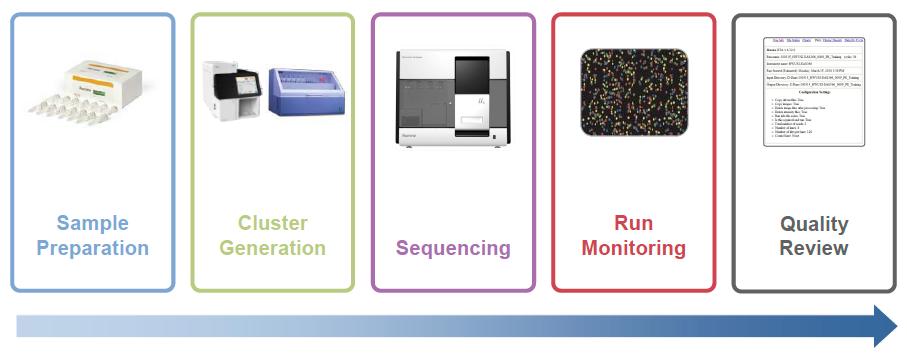Illumina Sequencing Approaches Single-End 67% of the market Sequencing uses Illumina sequencing platforms Mate-Pair for NGS experiments Sequencing Resulting Data One sequence read per molecule; good