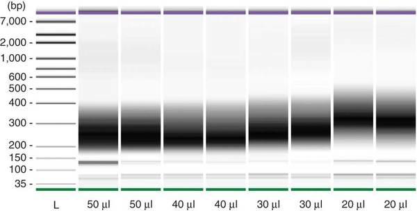Insert Size Distributions Experimental Calculated from Sequence Read Data 200bp- 400bp 100bp- 200bp During library construction the insert size of the DNA libraries can be selected by gel extraction