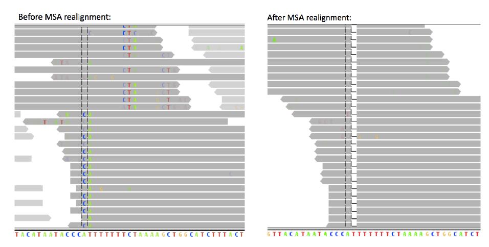 Indel Alignment Errors Before Indel Realignment Mate-Pair Sequencing After Indel Realignment Paired-End Sequencing False-positive mutations frequently occur in regions with indels.