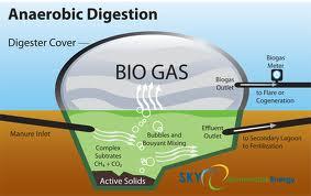 BIOGAS POWER GENERATION FROM POME TNB is working closely with Sime Darby