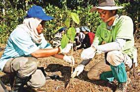TOUCHING LIVES 041 Our Agricultural Officer planting seedlings with a KAPOK (Komuniti Anak Pokok Kinabatangan) representative along the riverbanks of the lower Kinabatangan River as part of the