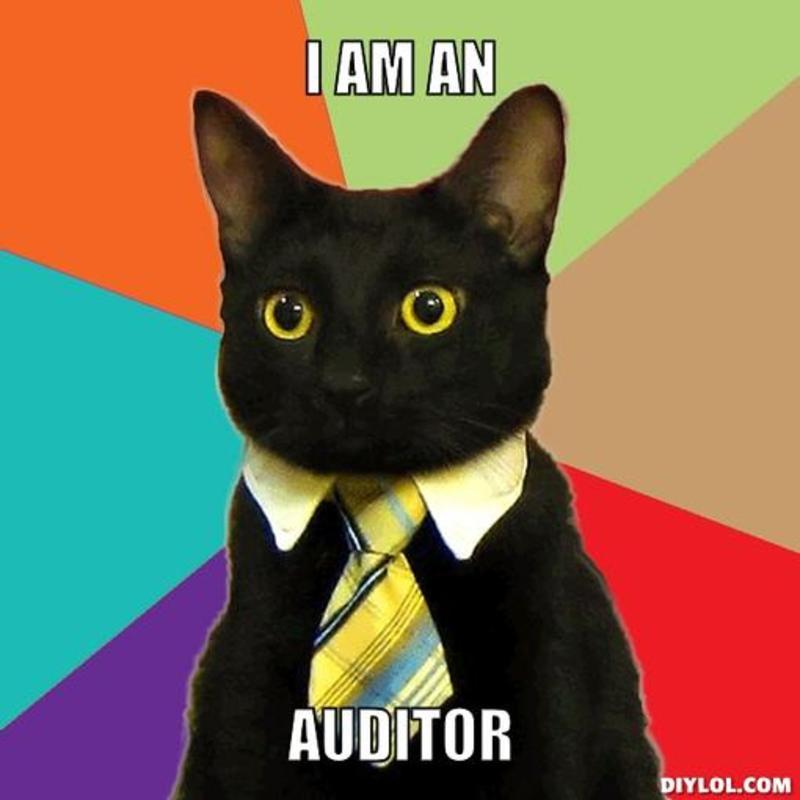 Auditing is