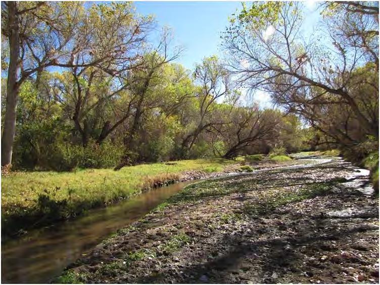 Introduction Santa Cruz river is major source of water for: Nogales (AZ and Sonora) Santa Cruz County