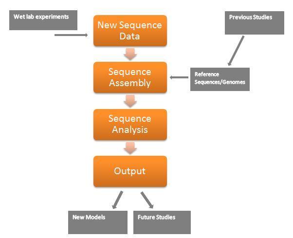 Eason 6 Appendix B Figure 2: Diagram for the complete data analysis process.