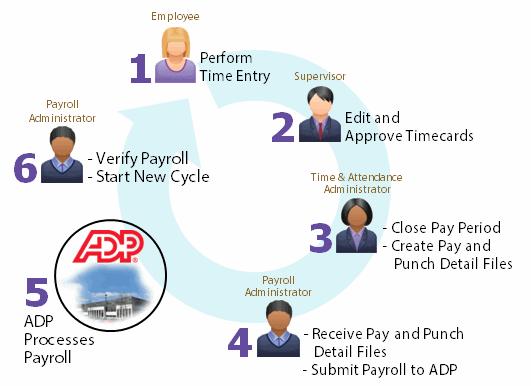 The Punch-In to Paycheck Process Enhanced Time & Attendance simplifies the job of collecting your employees time and attendance information and moving it quickly and accurately through the payroll