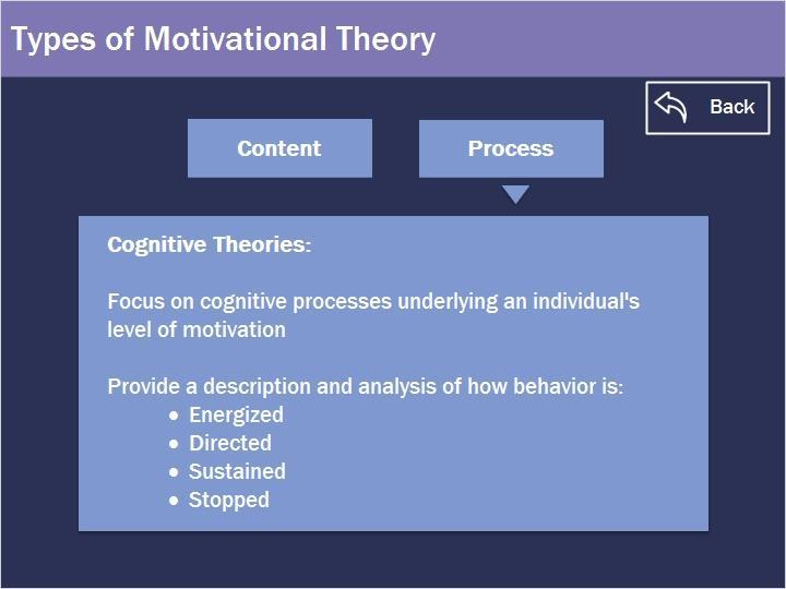 Process Process Theories: Process theories of motivation are also referred to as cognitive theories and they focus on the cognitive processes underlying an individual's level of motivation.