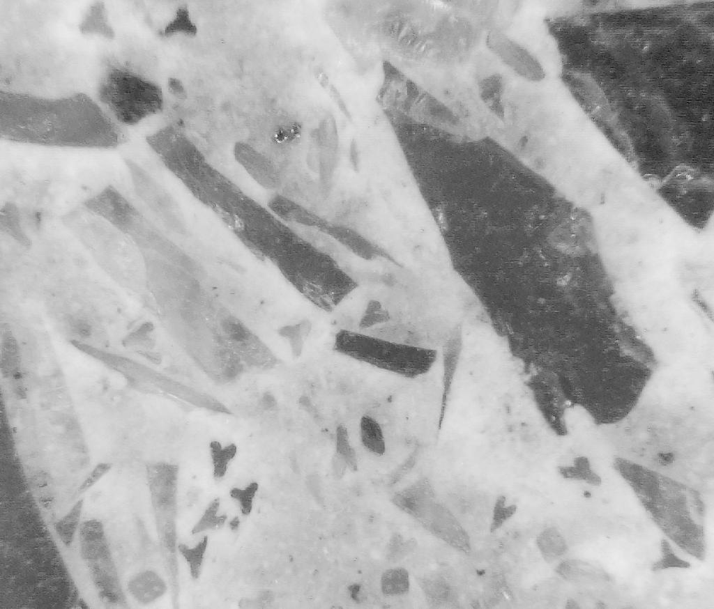 Fig. 18.6 Optical microscope image of glass concrete sample after 700 freeze-thaw cycles Table 18.