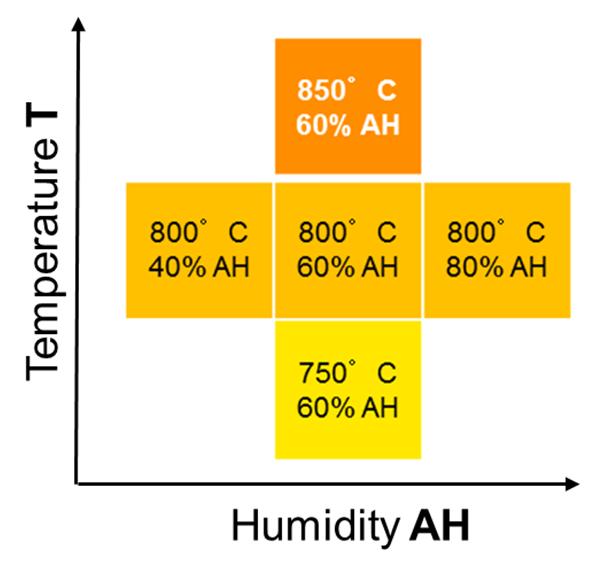 Motivation and Objective of Systematic Degradation Study Problem: low longevity degradation A variety of long-term degradation data about 3-5% / 1000h at 800 C and 80% absolute humidity (AH) about