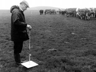 PASTURE SUPPLY/PASTURE COVER AND ITS ESTIMATION BACKGROUND The use of sward height as a rapid, non-destructive means of assessing pasture yields would be an aid to grassland management if close