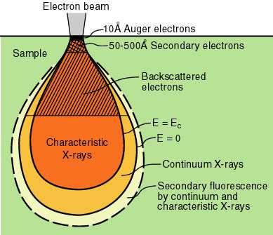 Interaction ction: electrons solid matter Signal types SE.