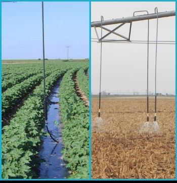 Identify profitable crop and irrigation