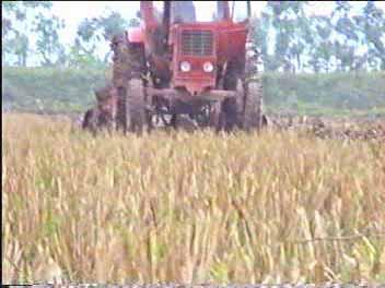 BASIC RESEARCH Research and manufacture of a system of equipment and complete set of machines for mechanization of main agricultural crops
