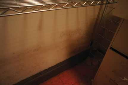 For example, this sunk entry does not have any drainage (and has flooded into the