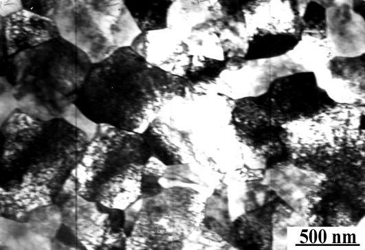 fragment with Cr coating SEM image of